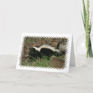 Skunk Behaviour Greeting Card
