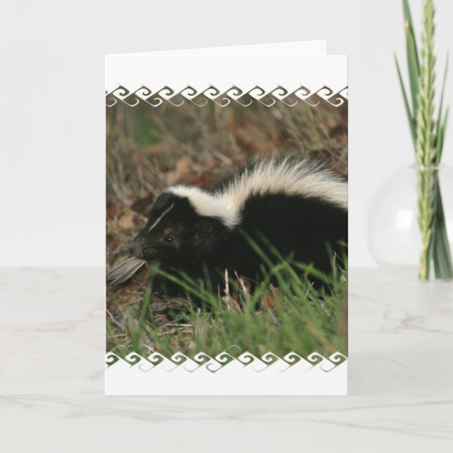 Skunk Behaviour  Greeting Card (Front)
