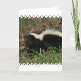 Skunk Behaviour Greeting Card
