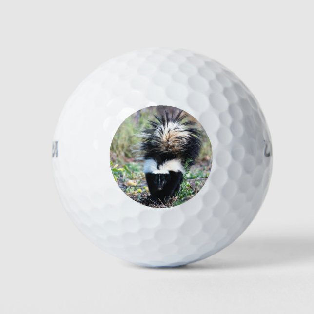 Skunk Black and White Golf Balls (Front)