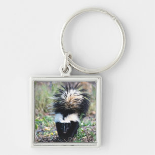Skunk Black and White Key Ring