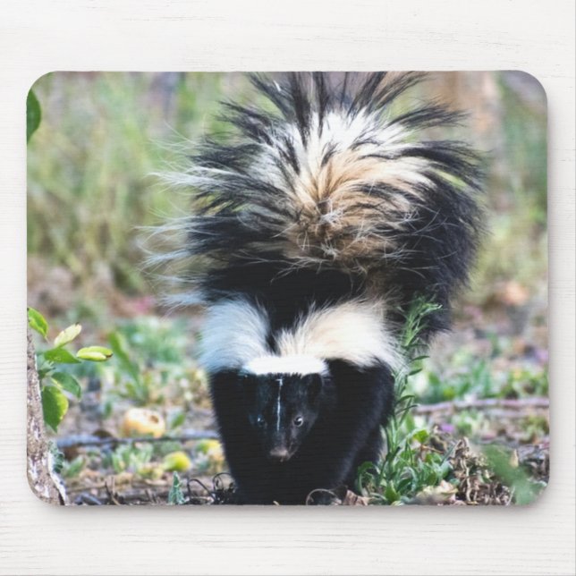 Skunk Black and White Mouse Pad (Front)