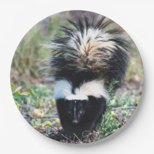 Skunk Black and White Paper Plate