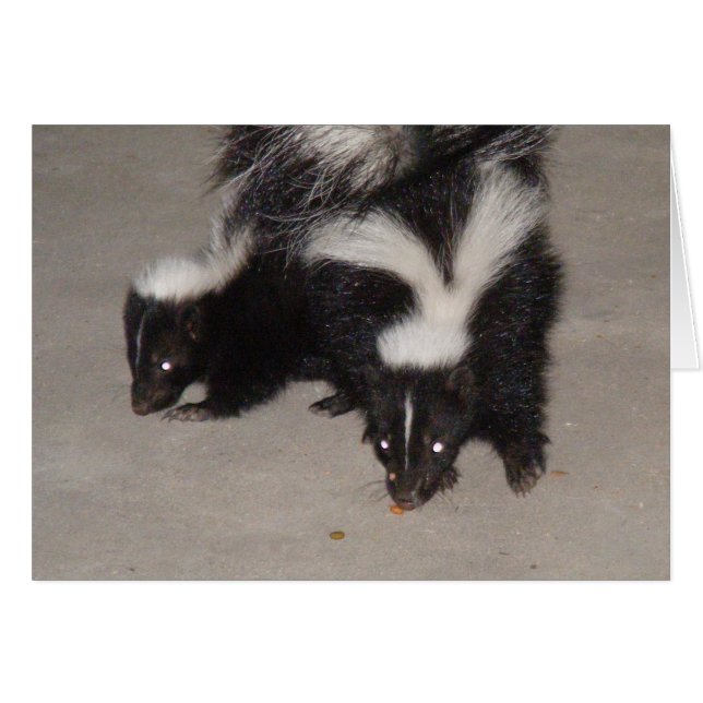 Skunk Card Blank / Poem on back (Front Horizontal)