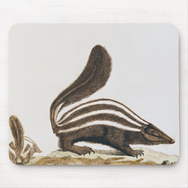 Skunk, from 'Histoire Naturelle' by Mouse Pad (Front)