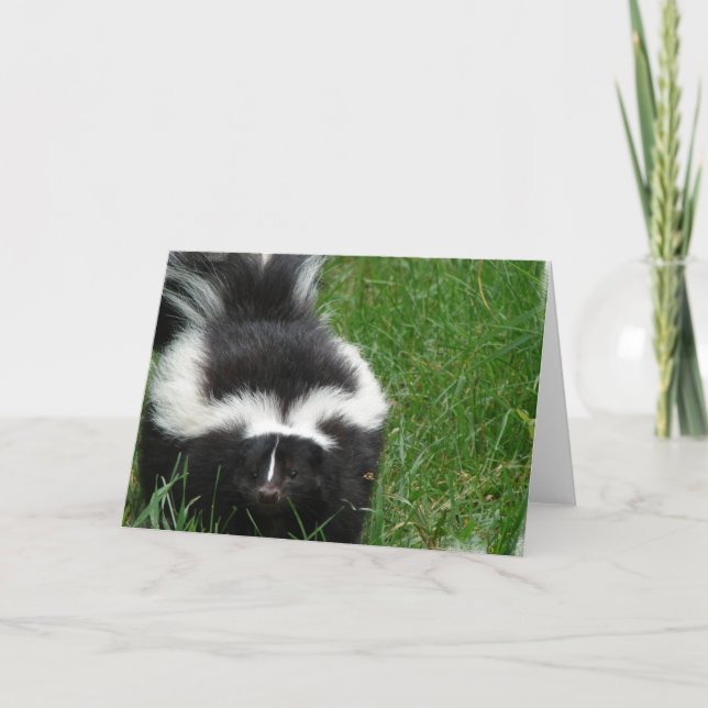 Skunk Greeting Card (Front)