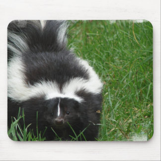Skunk Mouse Pad