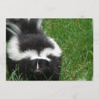 Skunk on an Invitation