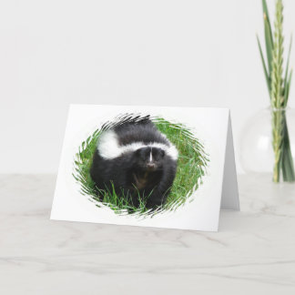 Skunk Photo Greeting Card