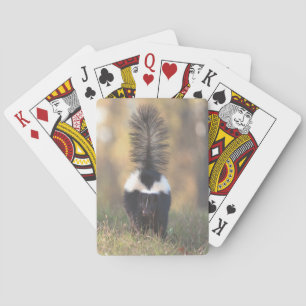 Skunk Playing Cards