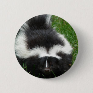 Skunk Round Pin