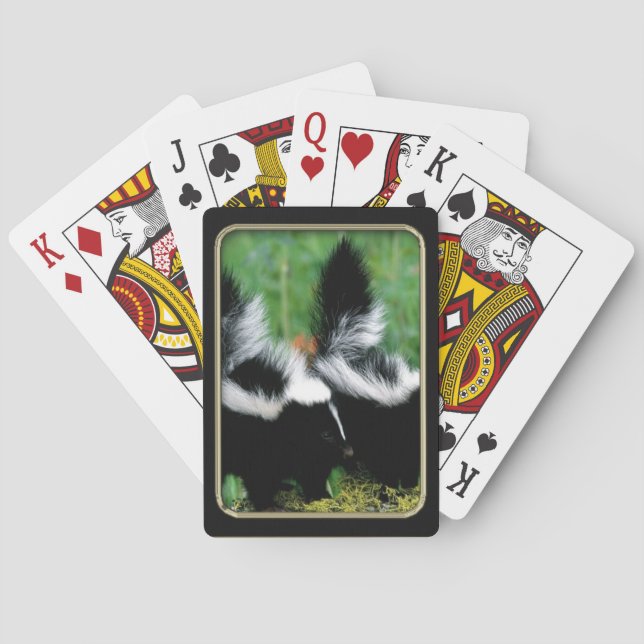 Skunks Photo Art Playing Cards (Back)