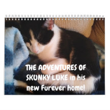 Skunky Luke's Adventures