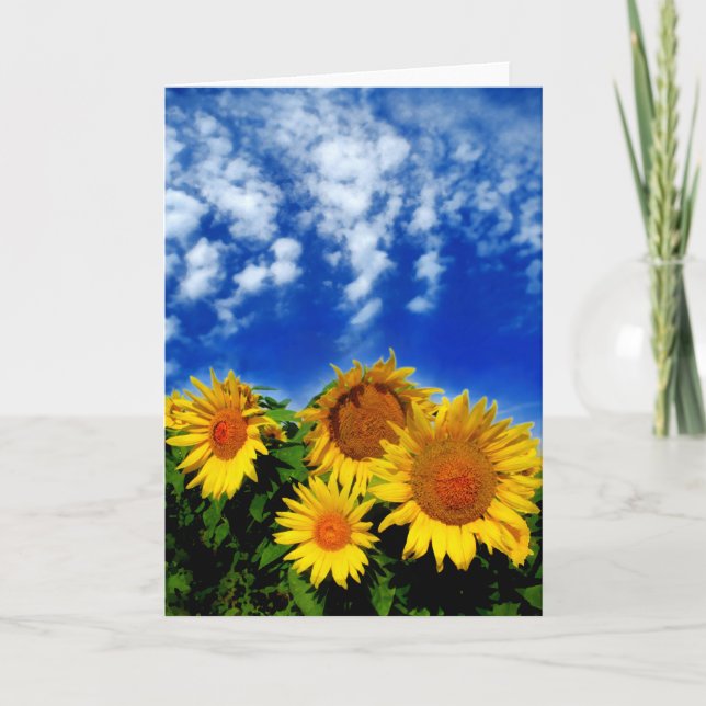 Sky and Bloom , card (Front)