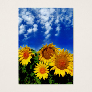 Sky and bloom, profile cards