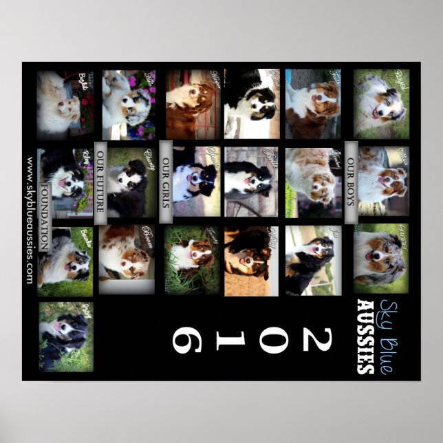 Sky Blue Aussies 2016 POSTER (Front)