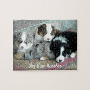 Sky Blue Aussies Puppies Puzzle