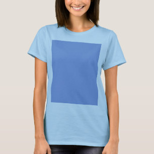 Sky Blue Colour T-Shirt