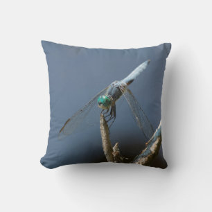Sky blue dragonfly cushion