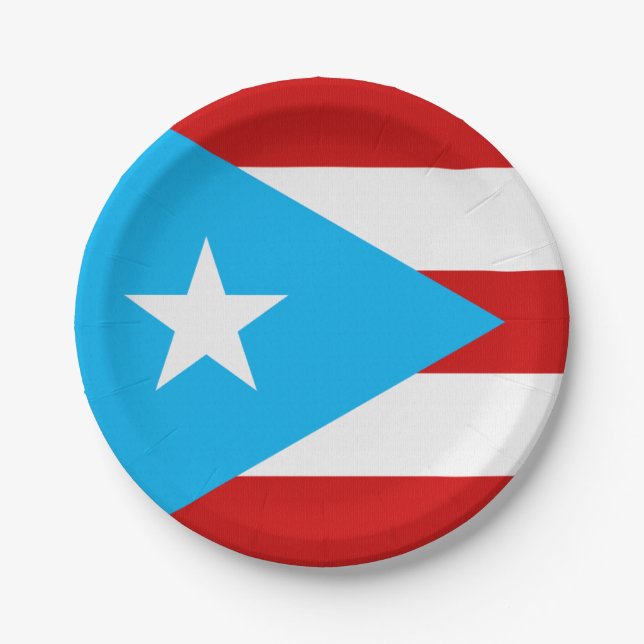 Sky Blue Puerto Rico Flag Napkin Paper Plate (Front)