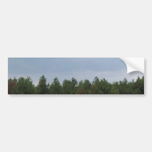 Sky & Clouds Bumper Sticker