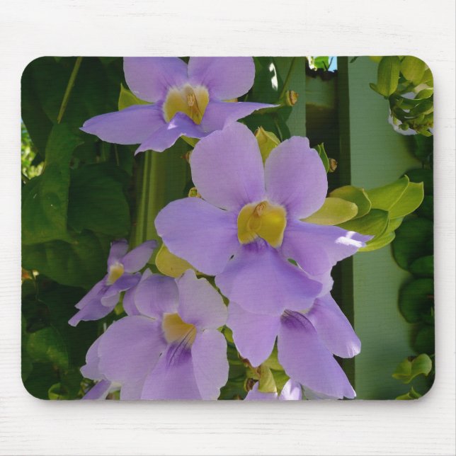 Sky Flower Vine Tropical Purple Floral Mouse Pad (Front)