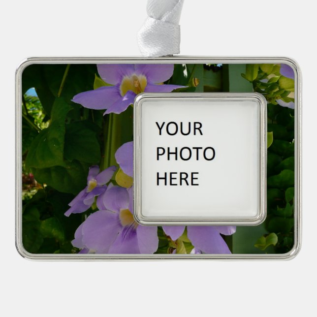 Sky Flower Vine Tropical Purple Floral Silver Plated Framed Ornament (Front)