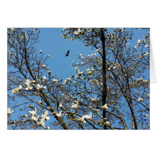 sky in spring