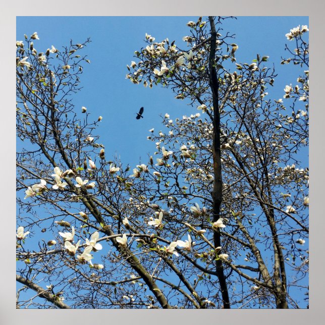 sky in spring poster (Front)