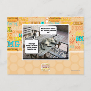 Sky is Falling Postcard