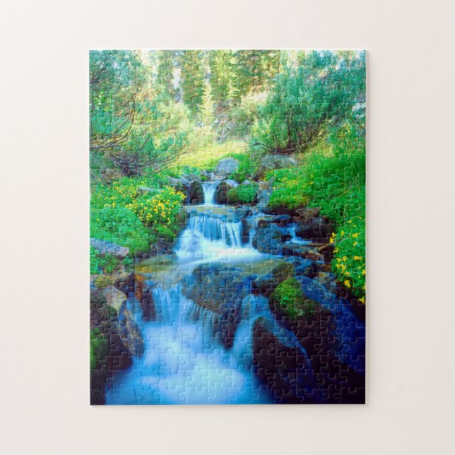 Sky Meadows in the Sierra Nevada Mountains Jigsaw Puzzle (Vertical)