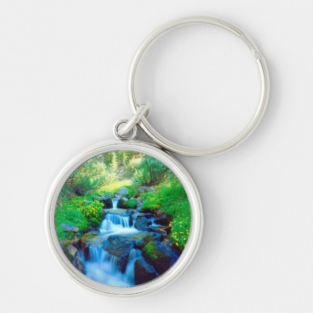 Sky Meadows in the Sierra Nevada Mountains Key Ring (Front)
