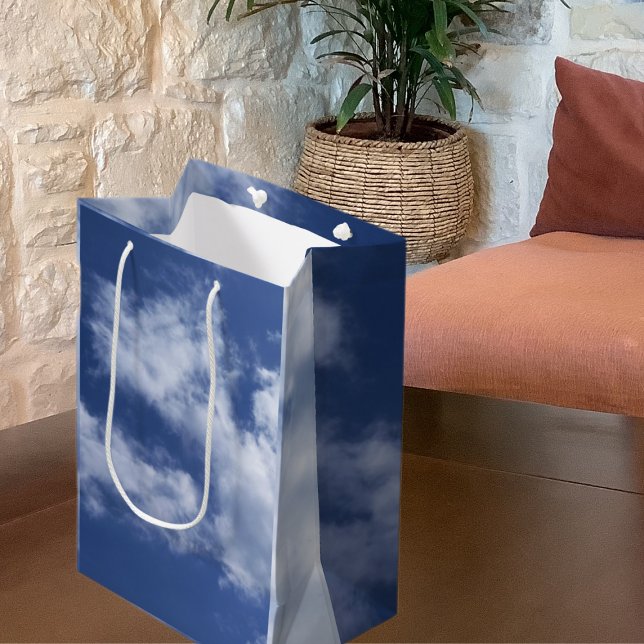 Sky Medium Gift Bag (Creator Uploaded)