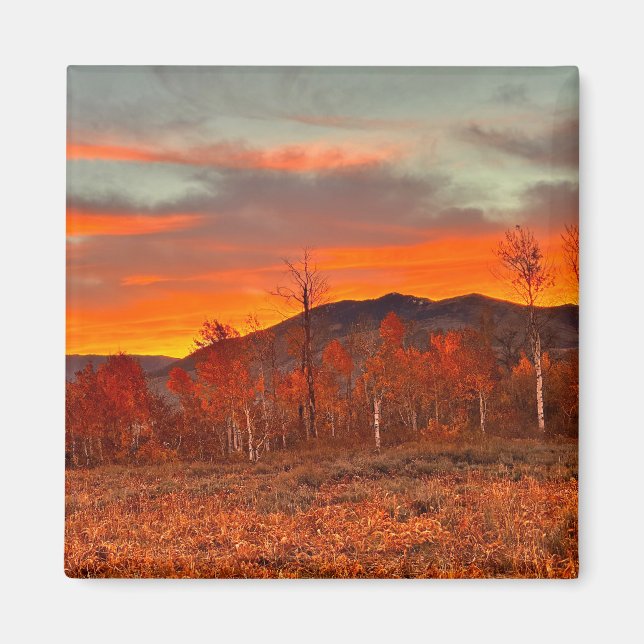 Sky on Fire  Magnet (Front)