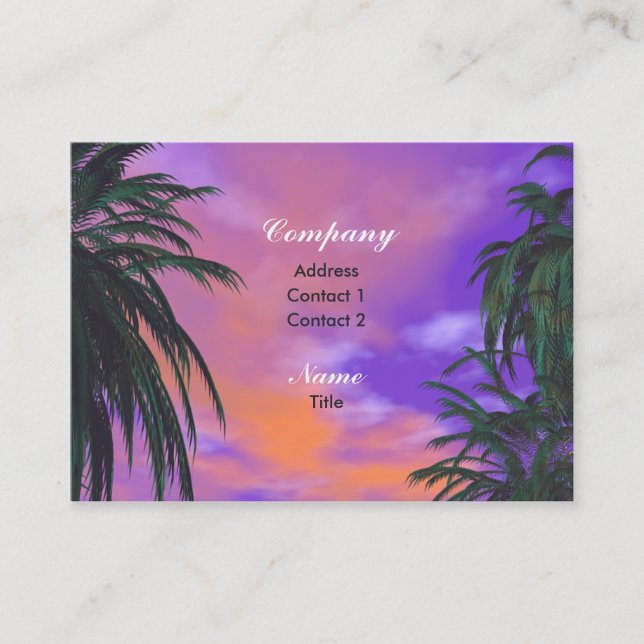 Sky Palms Business Card (Front)