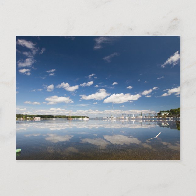 Sky Reflection at the Harbour of Belfast, Maine Postcard (Front)