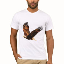 Sky Sovereign: Majestic Eagle