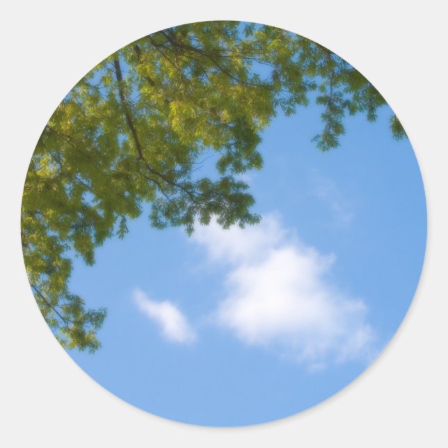 sky view with tree top classic round sticker (Front)