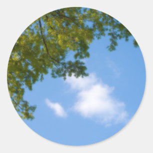 sky view with tree top classic round sticker