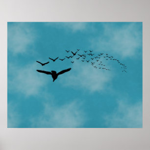 Sky with Birds Poster