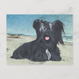 Skye Terrier at the Beach Postcard