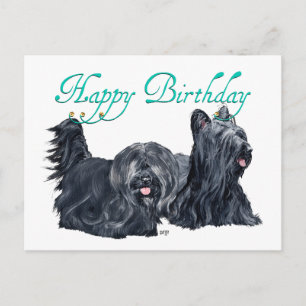 Skye Terrier Birthday Cards