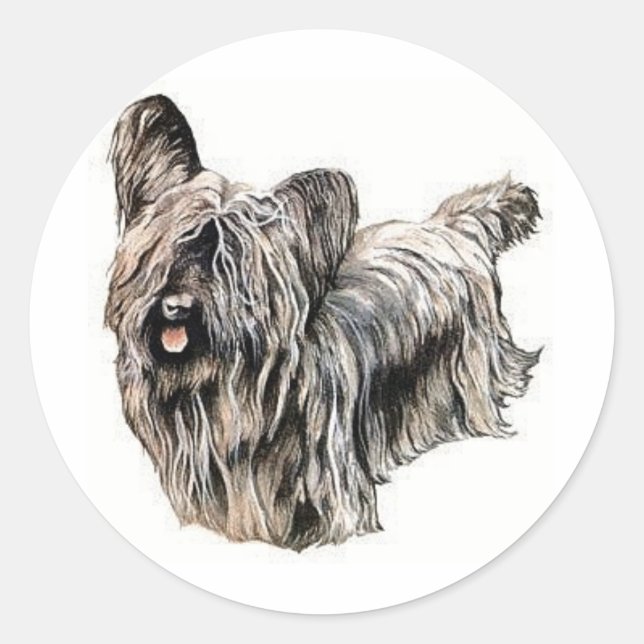 Skye Terrier Classic Round Sticker (Front)