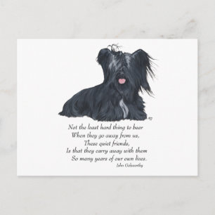 Skye Terrier Memory Postcard