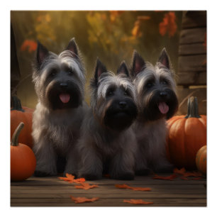 Skye Terrier Puppy Autumn Delight Pumpkin Poster