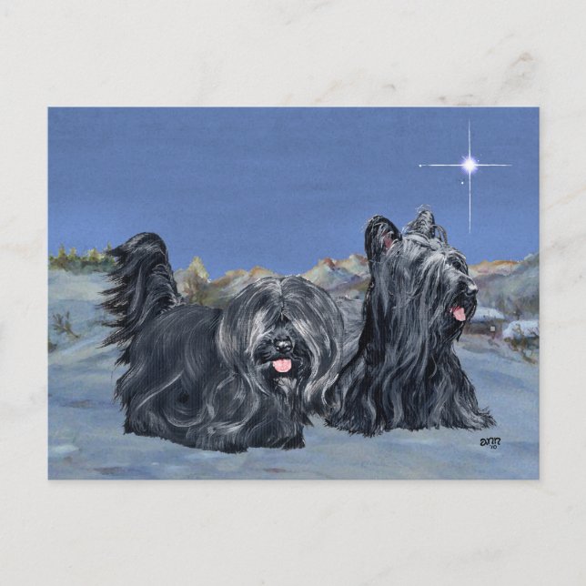 SKYE Terriers on a Winter Evening Postcard (Front)