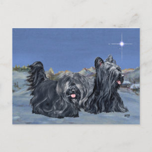 SKYE Terriers on a Winter Evening Postcard