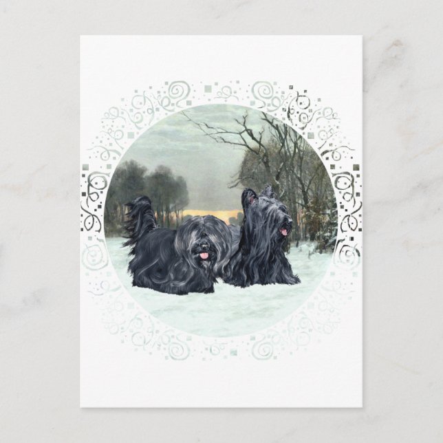 Skye Terriers Snowy Sunset Postcard (Front)