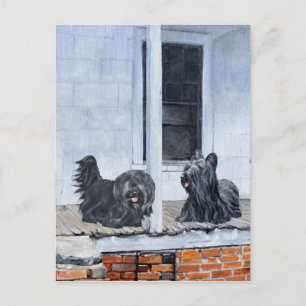 Skye Terriers wait on the Porch Postcard