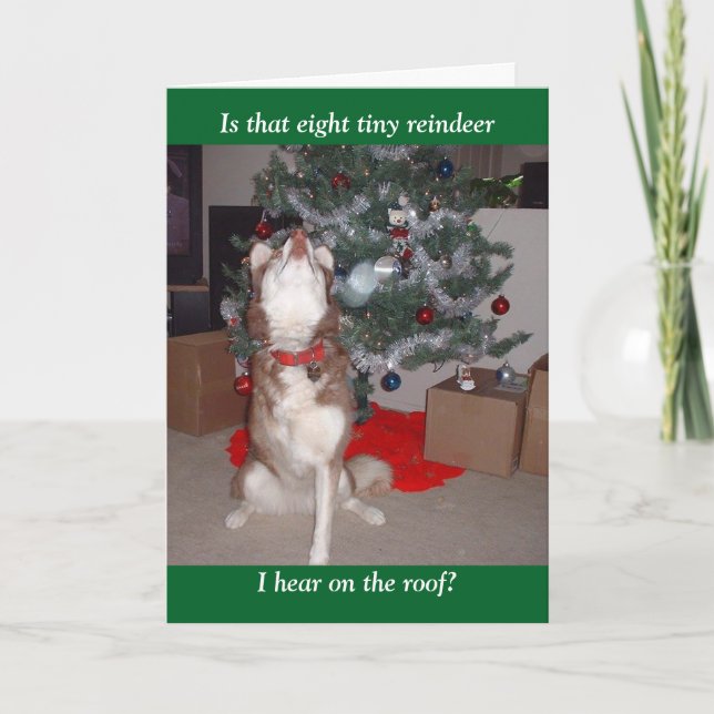 Skye's Merry Christmas Holiday Card (Front)